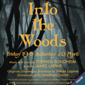 Into The Woods (FHODS Youth Section)
